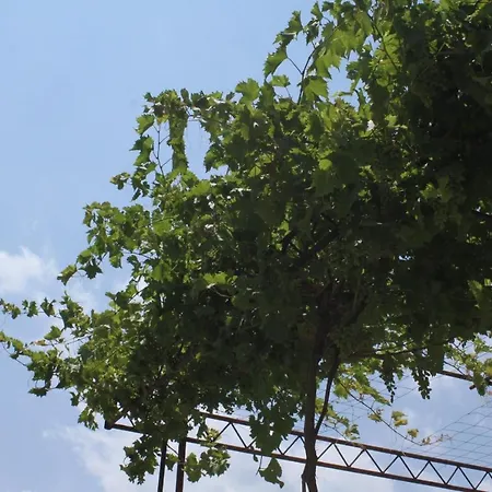 6725a Podgora (Split-Dalmatia)